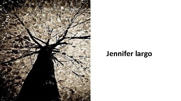 Jennifer largo 