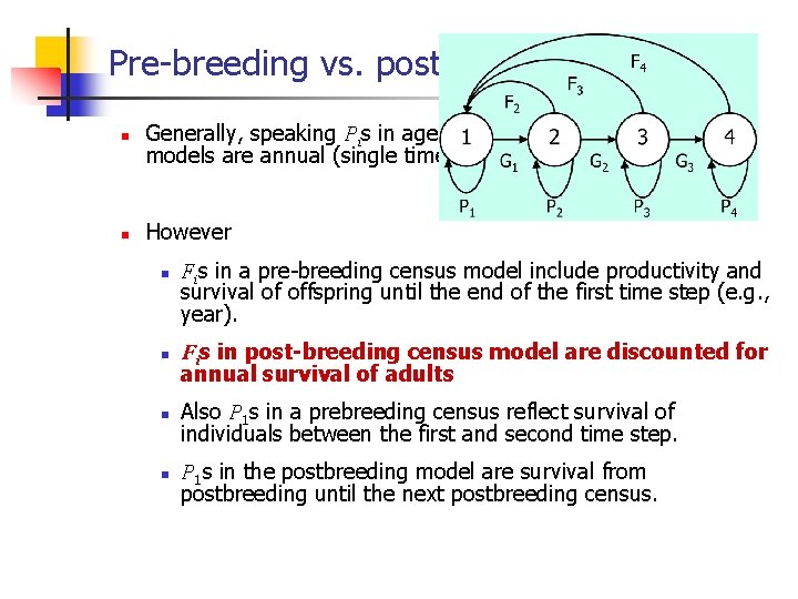 Pre-breeding vs. post-breeding n n Generally, speaking Pis in age-based and Gis in stage-based
