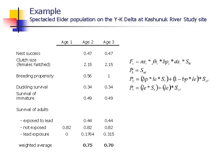 Example Spectacled Eider population on the Y-K Delta at Kashunuk River Study site Age