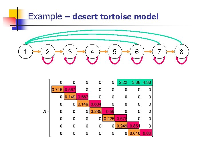 Example – desert tortoise model 1 2 3 4 5 6 7 8 