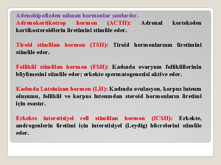 Adenohipofizden salınan hormonlar şunlardır. Adrenokortikotrop hormon (ACTH): Adrenal kortikosteroidlerin üretimini stimüle eder. korteksden Tiroid