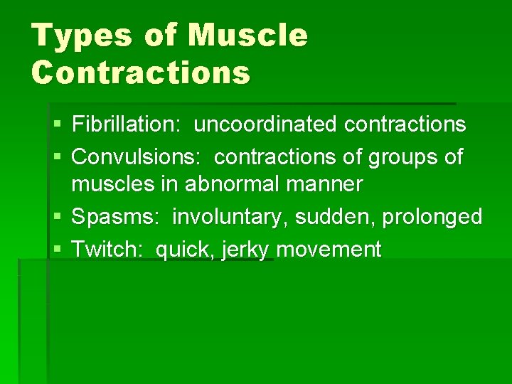 Types of Muscle Contractions § Fibrillation: uncoordinated contractions § Convulsions: contractions of groups of