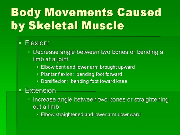 Body Movements Caused by Skeletal Muscle § Flexion: § Decrease angle between two bones