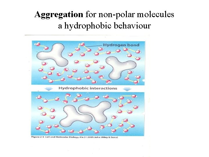 Aggregation for non-polar molecules a hydrophobic behaviour 