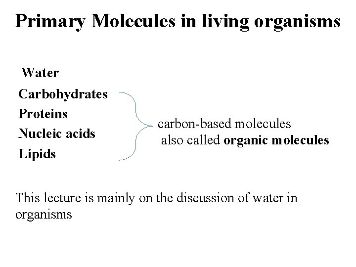 Primary Molecules in living organisms Water Carbohydrates Proteins Nucleic acids Lipids carbon-based molecules also