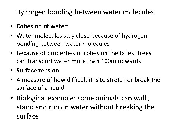 Hydrogen bonding between water molecules • Cohesion of water: • Water molecules stay close