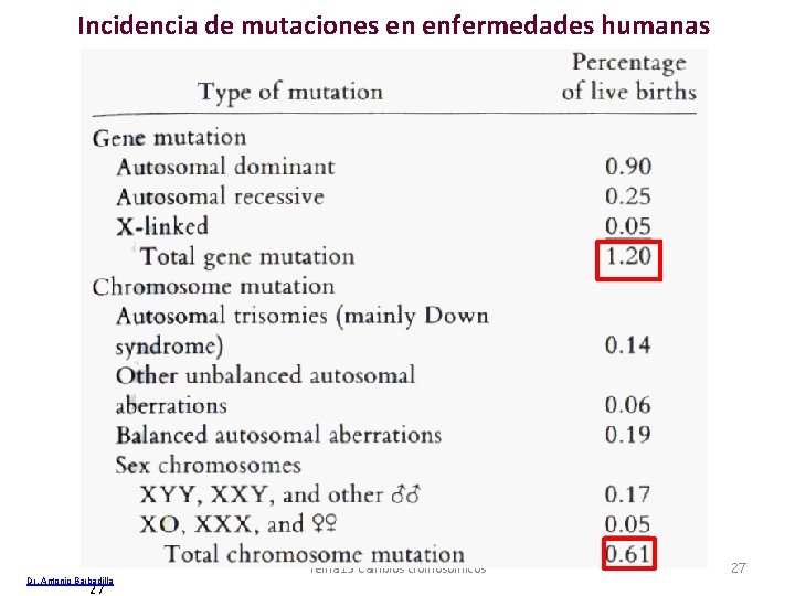 Incidencia de mutaciones en enfermedades humanas Dr. Antonio Barbadilla 27 Tema 13 Cambios cromosómicos