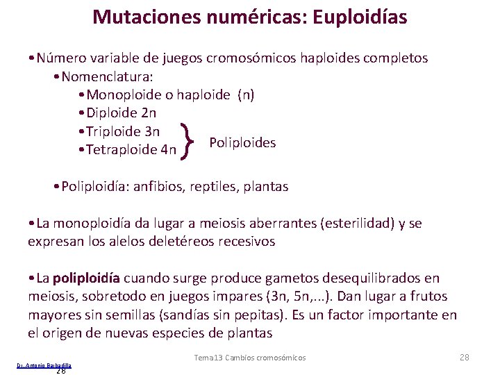 Mutaciones numéricas: Euploidías • Número variable de juegos cromosómicos haploides completos • Nomenclatura: •