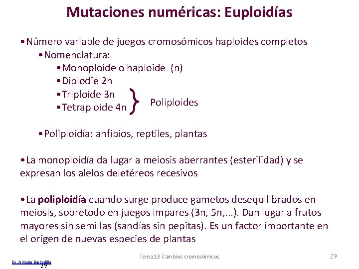 Mutaciones numéricas: Euploidías • Número variable de juegos cromosómicos haploides completos • Nomenclatura: •