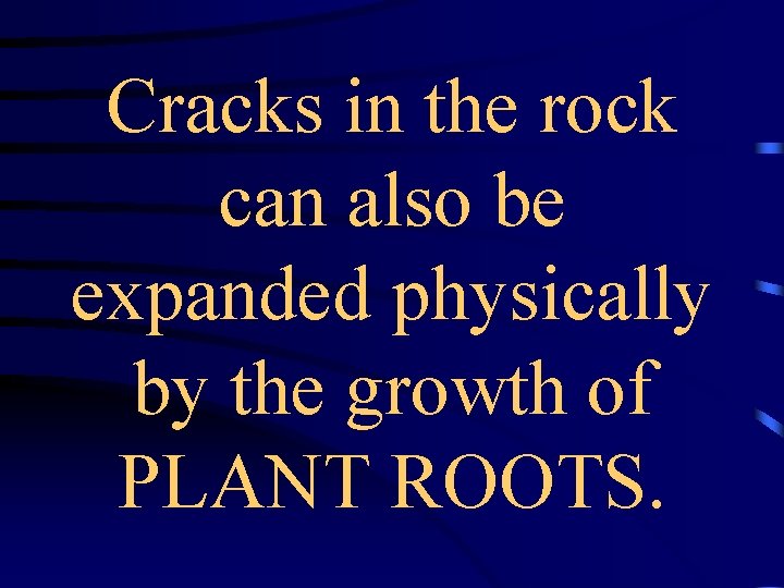 Cracks in the rock can also be expanded physically by the growth of PLANT