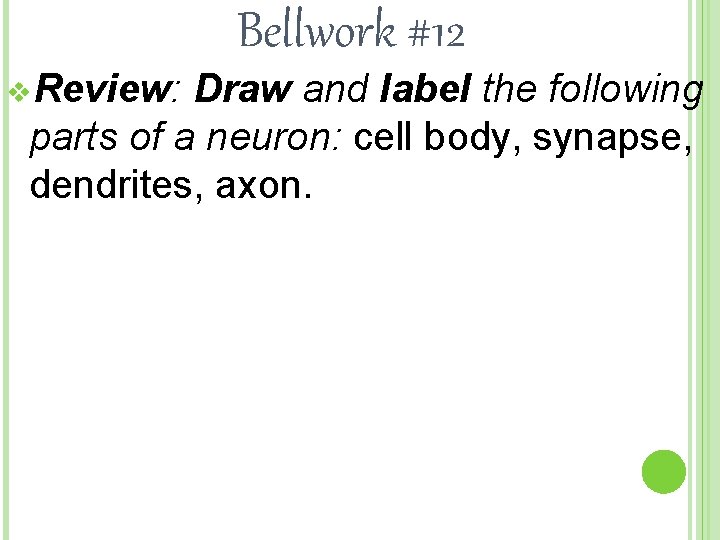 Bellwork #12 v. Review: Draw and label the following parts of a neuron: cell