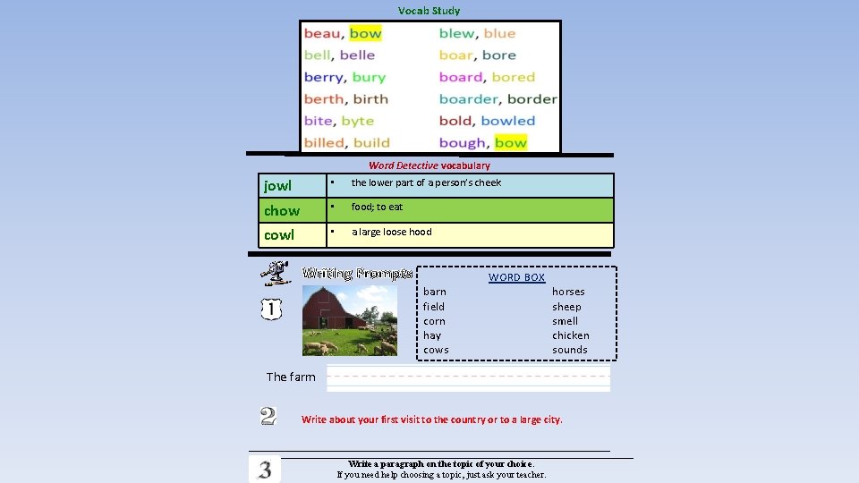 Vocab Study Word Detective vocabulary jowl • the lower part of a person’s cheek