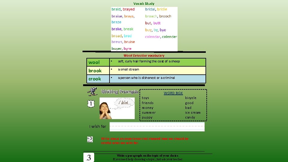 Vocab Study Word Detective vocabulary wool • soft, curly hair forming the coat of