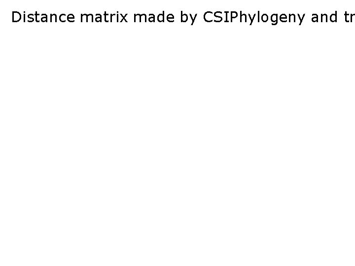 Distance matrix made by CSIPhylogeny and tr 