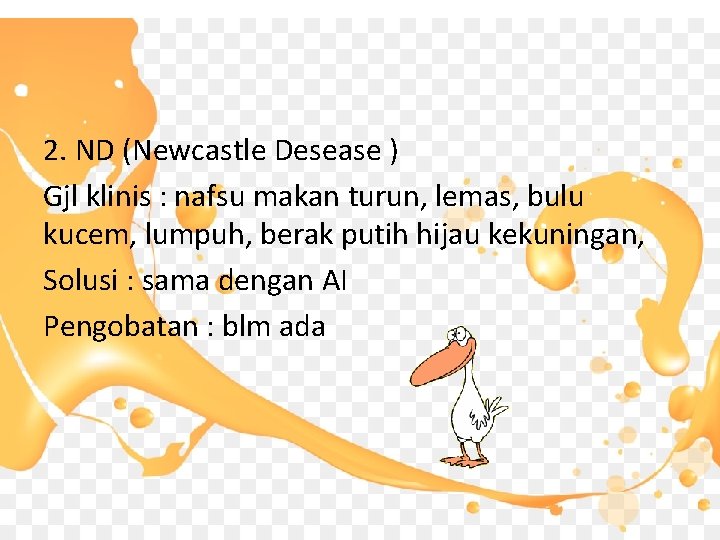 2. ND (Newcastle Desease ) Gjl klinis : nafsu makan turun, lemas, bulu kucem,