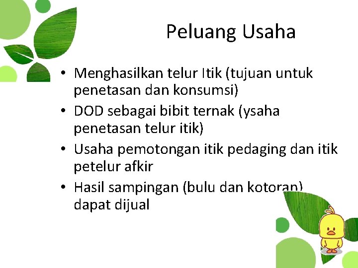 Peluang Usaha • Menghasilkan telur Itik (tujuan untuk penetasan dan konsumsi) • DOD sebagai
