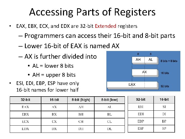 Accessing Parts of Registers • EAX, EBX, ECX, and EDX are 32 -bit Extended