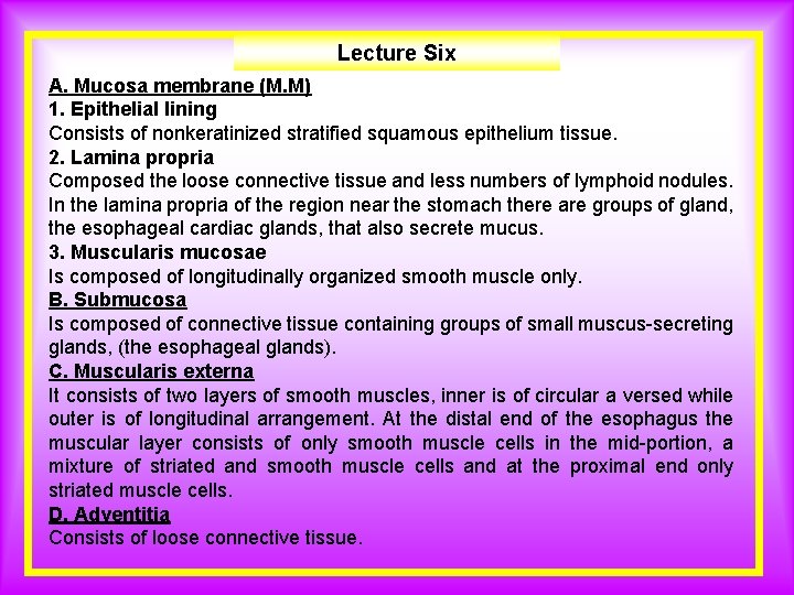 Lecture Six A. Mucosa membrane (M. M) 1. Epithelial lining Consists of nonkeratinized stratified