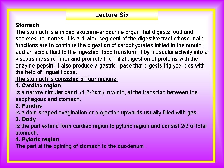 Lecture Six Stomach The stomach is a mixed exocrine-endocrine organ that digests food and