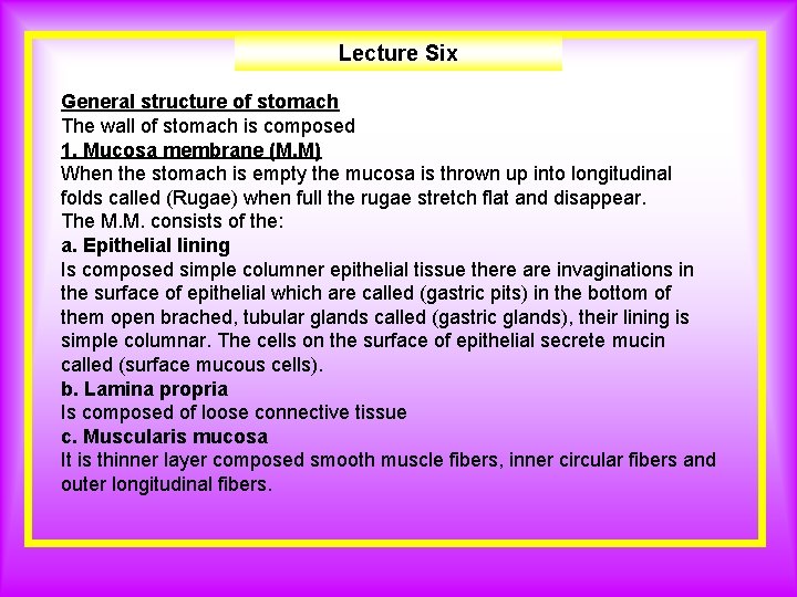 Lecture Six General structure of stomach The wall of stomach is composed 1. Mucosa