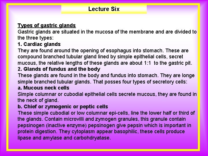 Lecture Six Types of gastric glands Gastric glands are situated in the mucosa of