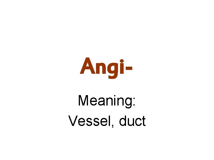 Angi. Meaning: Vessel, duct 