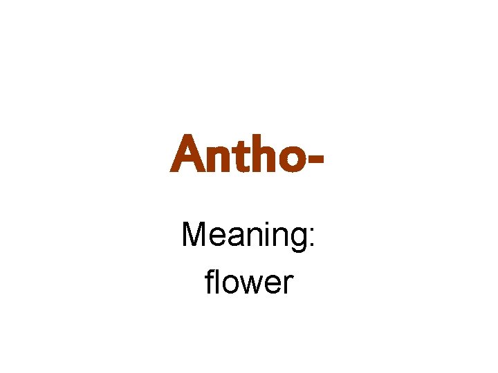 Antho. Meaning: flower 