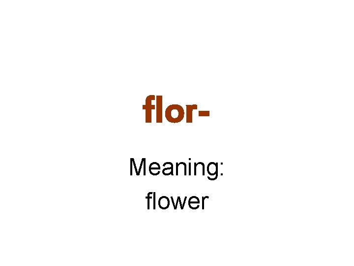 flor. Meaning: flower 