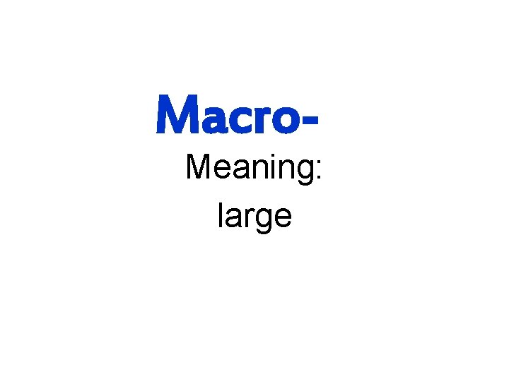 Macro- Meaning: large 