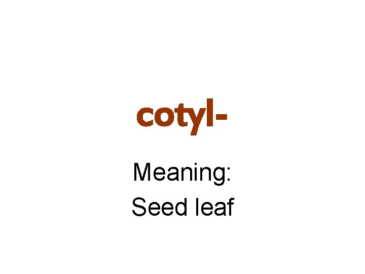 cotyl. Meaning: Seed leaf 