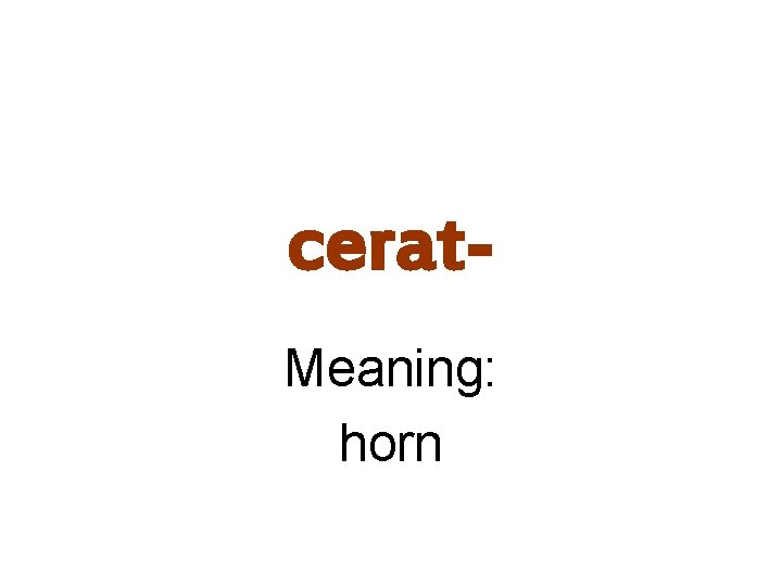 cerat. Meaning: horn 