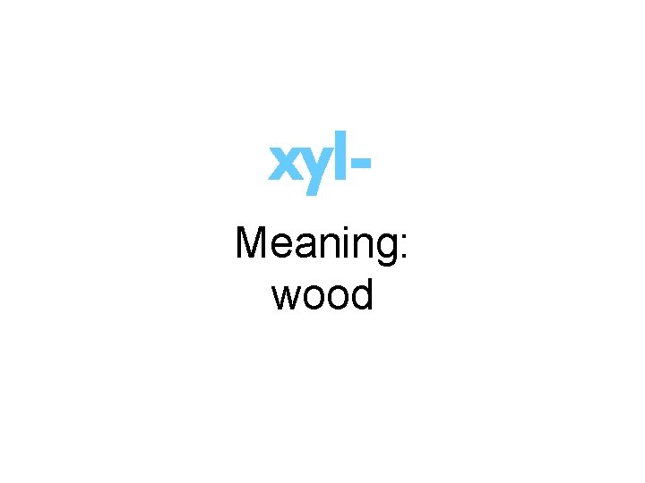 xyl. Meaning: wood 