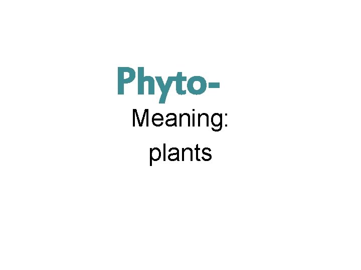 Phyto- Meaning: plants 