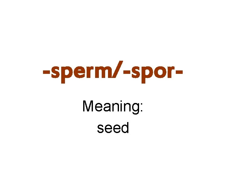 -sperm/-spor. Meaning: seed 