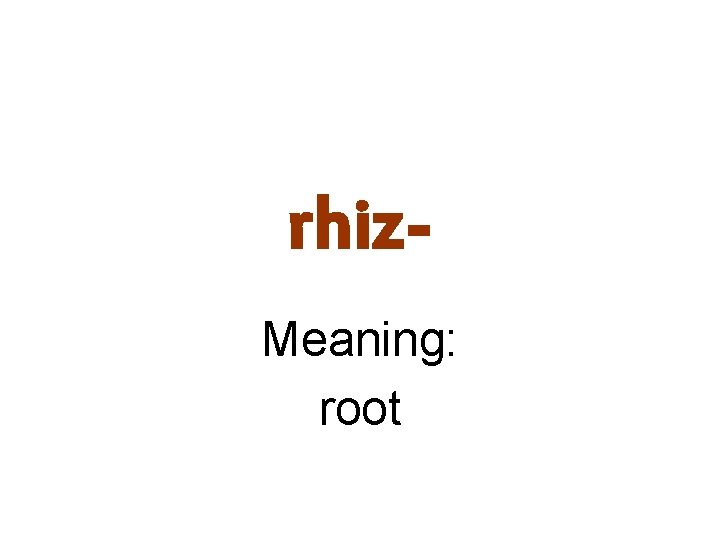 rhiz. Meaning: root 