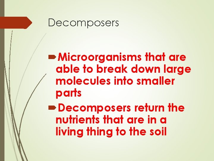 Decomposers Microorganisms that are able to break down large molecules into smaller parts Decomposers