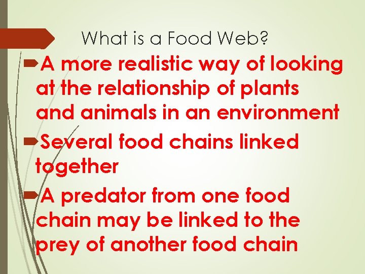 What is a Food Web? A more realistic way of looking at the relationship