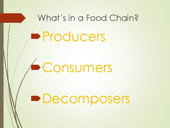 What’s in a Food Chain? Producers Consumers Decomposers 