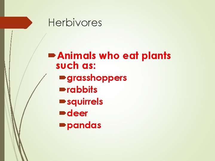 Herbivores Animals who eat plants such as: grasshoppers rabbits squirrels deer pandas 