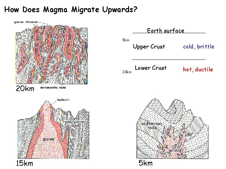 How Does Magma Migrate Upwards? Earth surface 5 km 20 km Upper Crust cold,