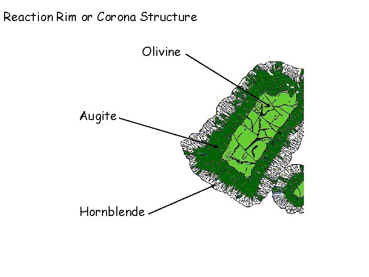 Reaction Rim or Corona Structure Olivine Augite Hornblende 