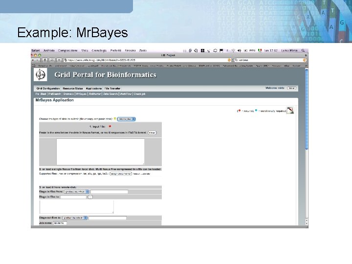 Example: Mr. Bayes GRB Portal Meta Scheduler Globus GT 4 g. Lite UNICORE 