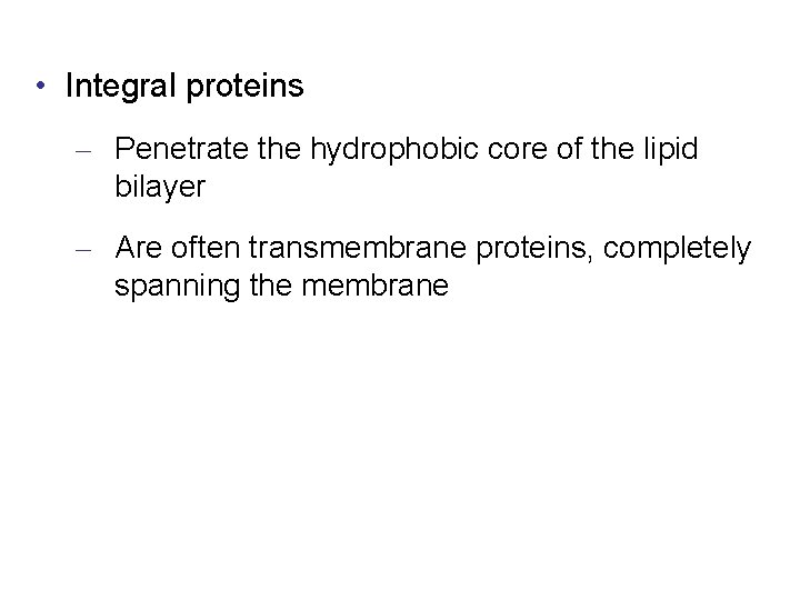  • Integral proteins – Penetrate the hydrophobic core of the lipid bilayer –