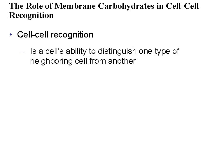 The Role of Membrane Carbohydrates in Cell-Cell Recognition • Cell-cell recognition – Is a