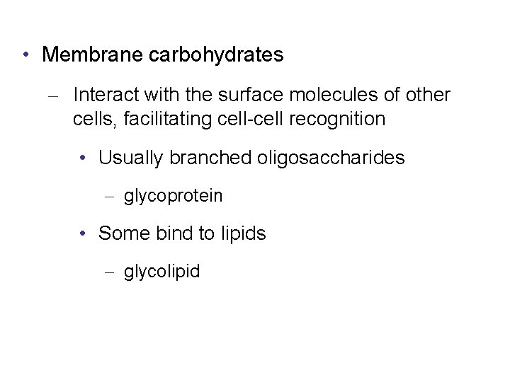  • Membrane carbohydrates – Interact with the surface molecules of other cells, facilitating