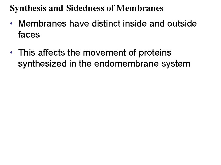 Synthesis and Sidedness of Membranes • Membranes have distinct inside and outside faces •