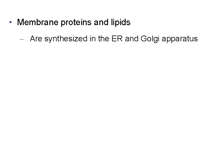  • Membrane proteins and lipids – Are synthesized in the ER and Golgi