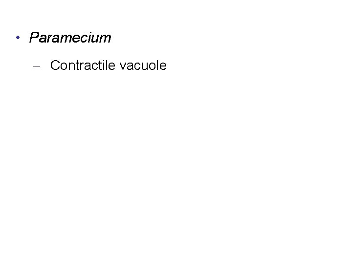  • Paramecium – Contractile vacuole 