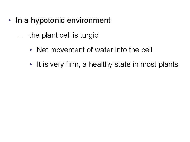  • In a hypotonic environment – the plant cell is turgid • Net