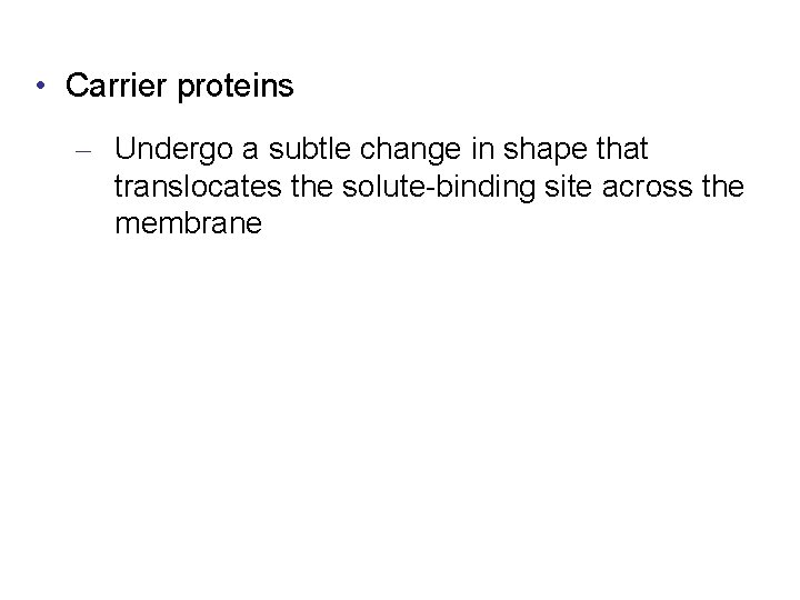  • Carrier proteins – Undergo a subtle change in shape that translocates the